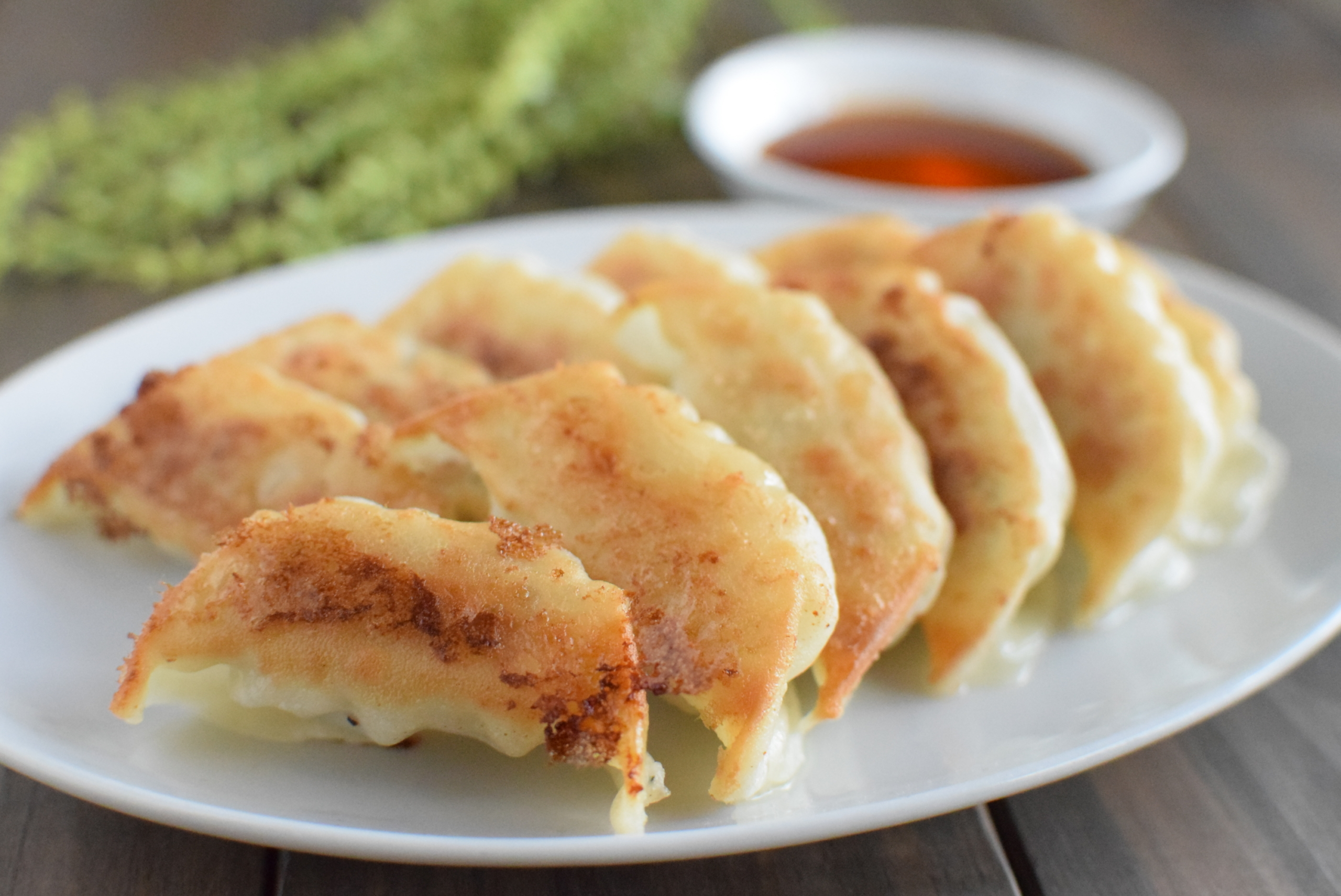 餃子